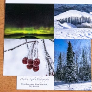 4 cards: aurora, ice bridge, red berries, snowy cedar tree